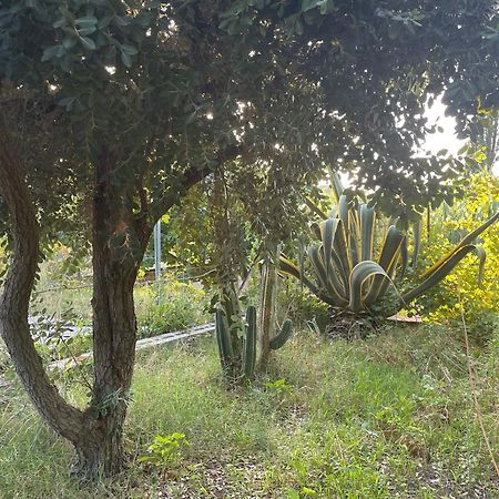 Villa Vittoria トラッペート エクステリア 写真